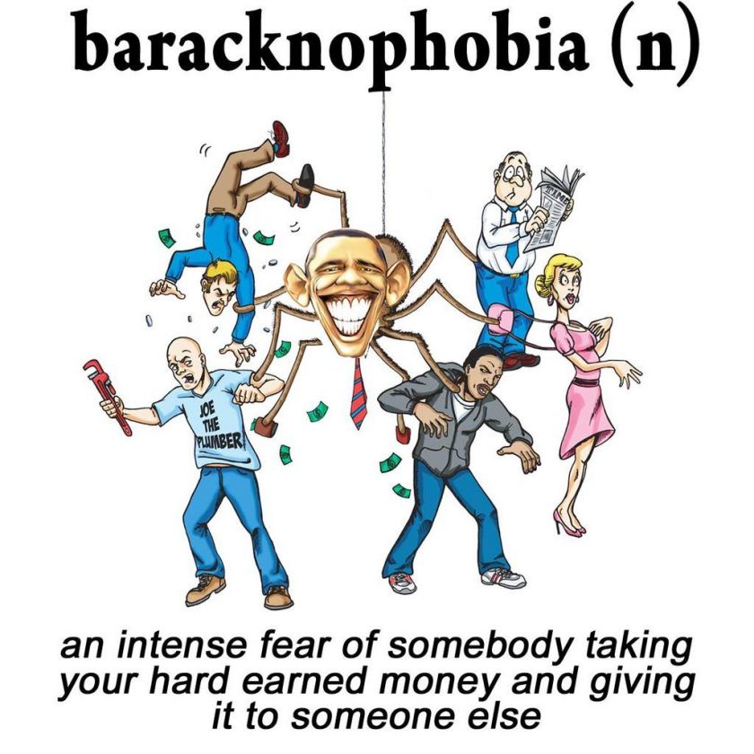 Anti Obama BARACKNOPHOBIA Conservative T Shirt  