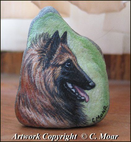 Belgian Shepherd Tervuren Original Art on Rock Painting CMOAR  