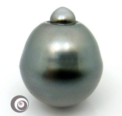 HUGE 15.8x13.1MM NATURAL SILVERY GRAY GENUINE TAHITIAN CULTURED PEARL 