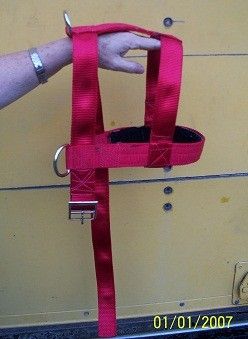 Webbing Pulling Dog Harness Metal Hardware Lined  