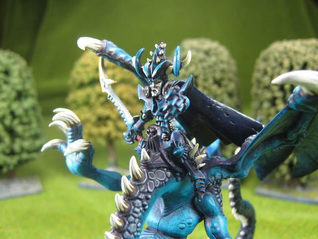 WarhammerDPSpainted Dark Elf Witch King on DragonDK001a  