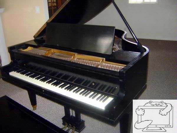 1950 51 Cable Nelson Black Baby Grand Piano  