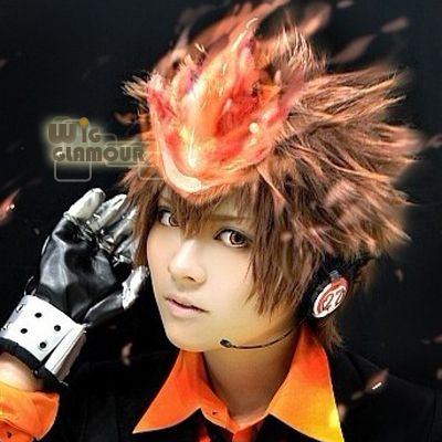 Reborn Tsunayoshi Sawada Cosplay Short Dark Brown Stylish Hair Wig 