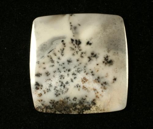 DENDRITES TREE DENDRITIC MOSS AGATE OPAL CABOCHON  