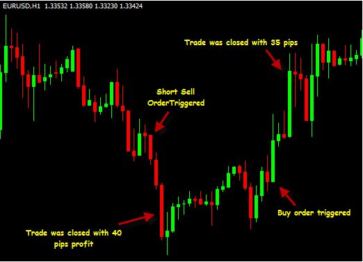   you ll learn how to turn your bad trading habits into good ones