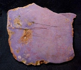 Burro Creek Jasper Slab Cabbing Rough Purple HS WoW  