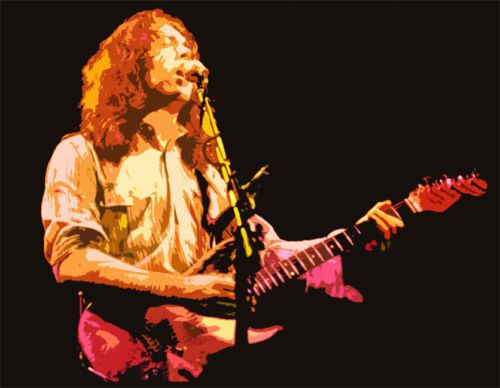 Rory Gallagher 34 x 22 Canvas Mounted Print  