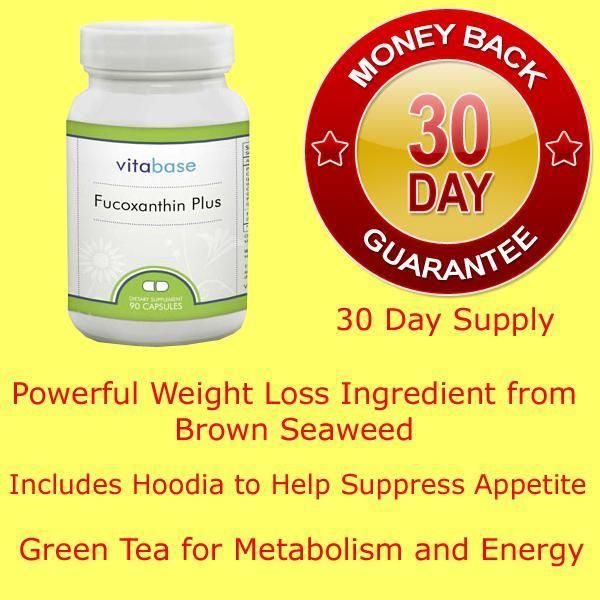 Fucoxanthin Plus   Weight Loss   Hoodia  Brown Seaweed  