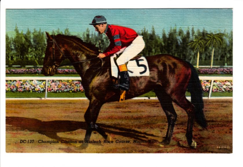 Citation Horse Racing Hialeah Race Course FL Postcard  