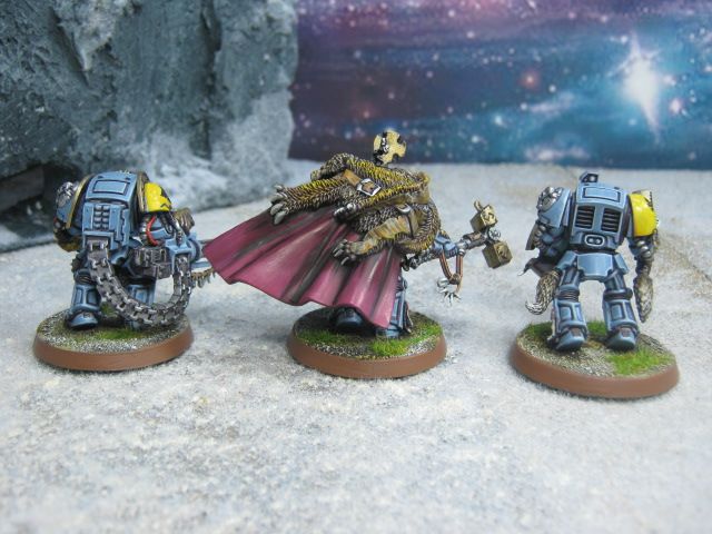 Warhammer DPS painted Wolf Guard Terminators SW004  