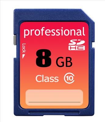 New Lot of 10 Professional 8GB Extreme SDHC SD HC Class 10 Flash 