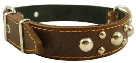 17 22.5 Double Ply Leather Dog Collar Studs 1.5 Wide Brown Large 