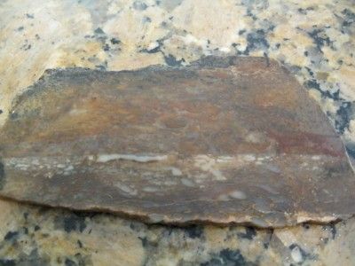   Agatized Dinosaur Bone slab Broken Bone specimen very rare  