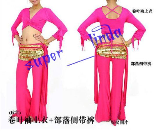 belly dance Costume 2 pics costume top&pants 9 colour  