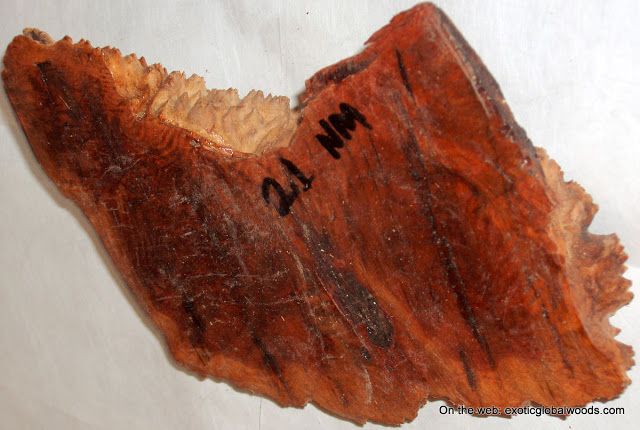 Brown Malee Burl Live Edge Hardwood Woodturning Lumber  