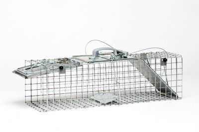   ® 1062 2 Door Easy Set® Animal Trap For Rabbit, Skunk Squirrel