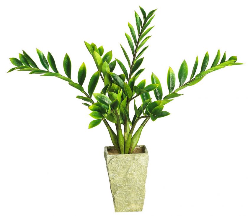 SILK Zamioculcas Artificial Eternity PLANT VASE New  